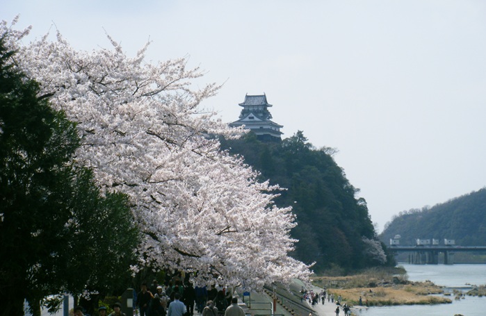 中部．上高地‧立山黑部‧白馬‧長野8日